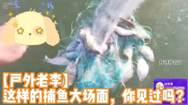 【户外老李】这样的捕鱼大场面，你见过吗？