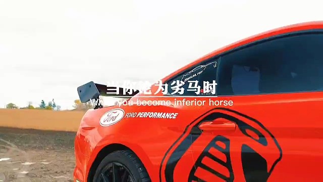 当你沦为劣马时