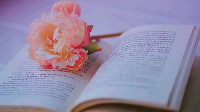 当你对别人有用时，人心就是善良的。当你对别人无用时，人心就是自私的。