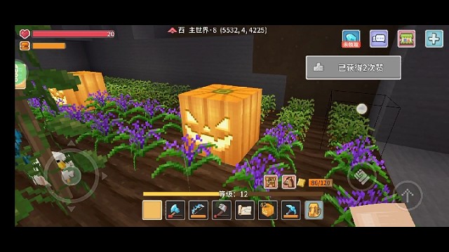 看我朋友家，这么大的地方，没什么用，除了种地他在第一村庄