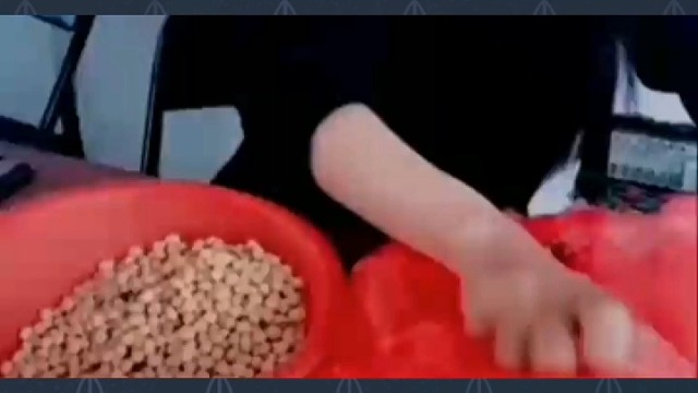 特发性震颤典型症状