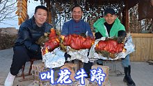 买4根牛蹄，食叔做“叫花牛蹄”，裹上黄泥烤半天，啃起来真香