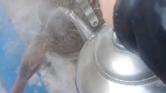 鸭子：有事说事儿，别倒开水