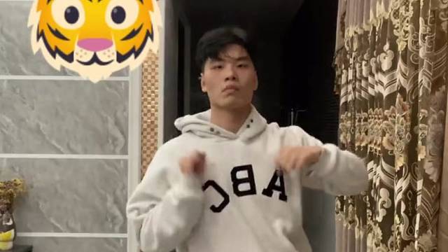 老虎來啦