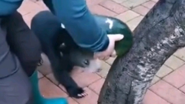 教爬树不如教怎么偷袈裟。。。

.