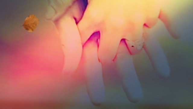 祝你幸福的背后，有多少个心酸？