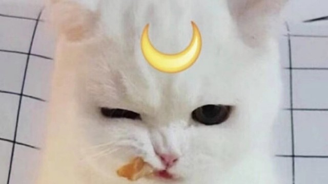 #王牌竞速新人报道