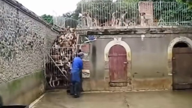 抢到前头不容易呀