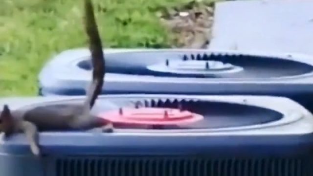 这操作也是没谁了