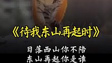 日落西山你不陪，东山再起你是谁