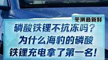 #新能源冬季大考成績出爐 #2022懂車帝新能源冬測 磷酸鐵鋰不抗凍嗎？為什么比亞迪海豹的磷酸鐵鋰充