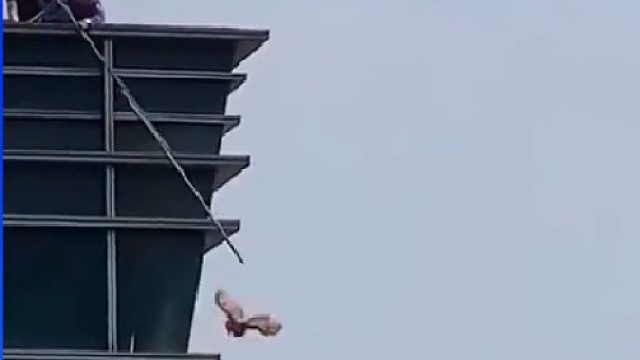 硬核母鸡从24楼跳楼逃跑，主人：只能干瞪眼目送离别