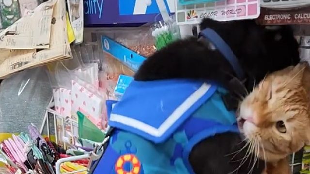 以为是深情的拥抱，结果是咬着对方