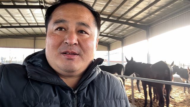 来到一个大型养驴场，多达1000多头驴，刚宰的驴肉还冒热气呢