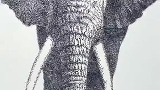 “藝術(shù)，有點(diǎn)不可理喻”