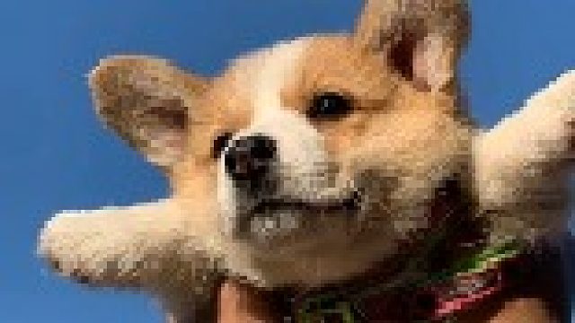 【尘逸 生团】25yx西津渡老四刀宗第一视角