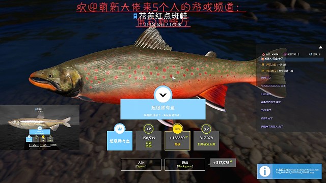 32，蓝，花糕红点斑鲑