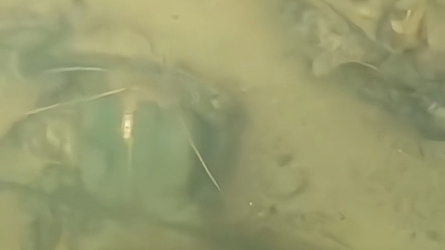 海底的这把剪刀好新啊