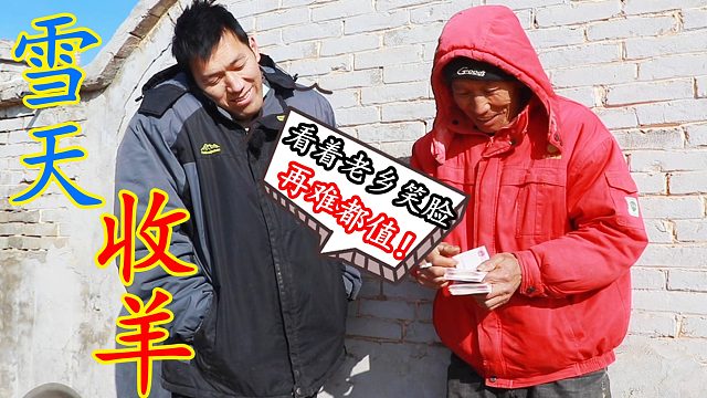 雪天，二后生如约到老乡家收羊，看着大哥数钱的笑脸，再难都值了