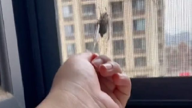 说说我做了多少人想做没做的事情，大周末的早上让你叫​​​