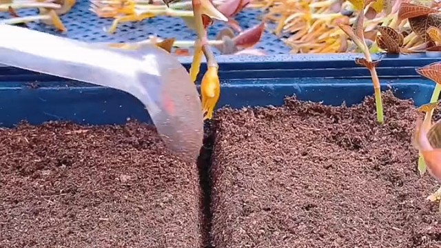 这种苦只有女人懂