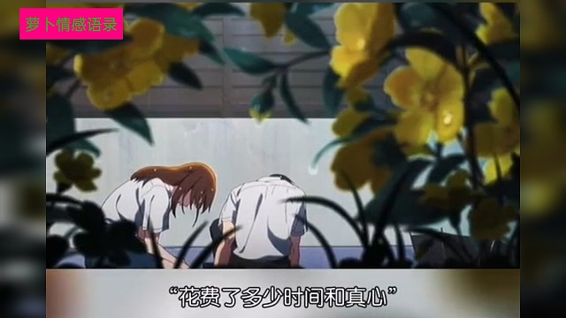 你还会不会在某个深夜突然想起“她”