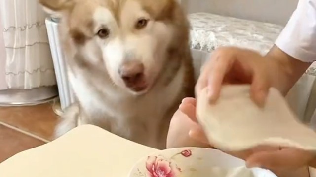 哪个好吃说的明明白白的