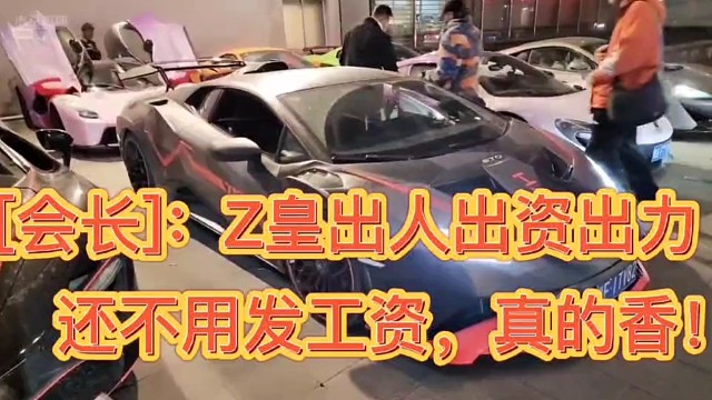 ［会长］：Z皇出人出资出力，还不用发工资，真的香！