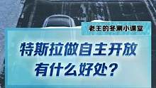 特斯拉做自主開放有什么好處？#2022懂車帝新能源冬測  #新能源冬季大考成績出爐  #冬測油電極限