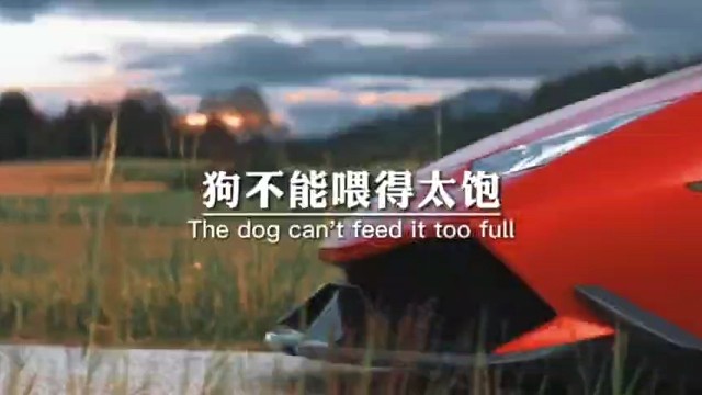 狗不能喂得太饱