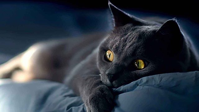 进阶组 刘建吧带星冰乐  S一样的操作，神一样的意识