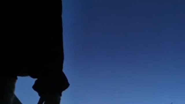 爱困不住我我没有心我自由到底