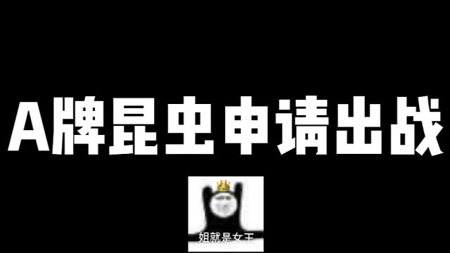 那年我双手插兜 不知什么是对手