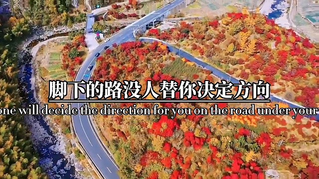 人生没有白走的路