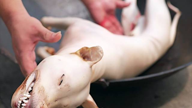 玉林脆皮香肉选材