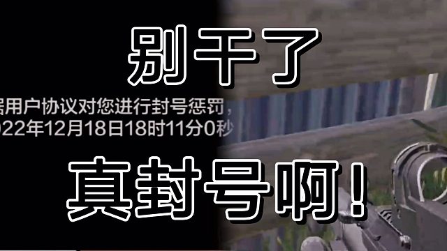 暗区突围这次大封号是不是属于赶鸭子上架