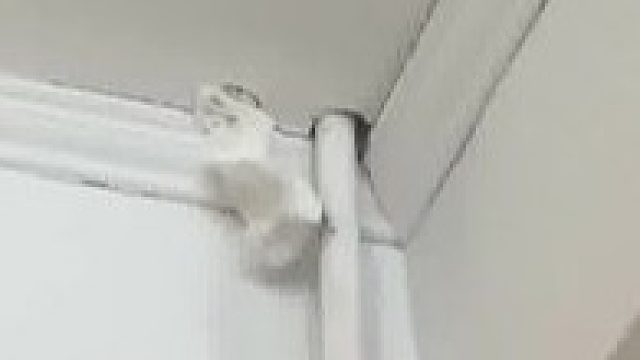 楼上打穿房顶，业主可以求助物业吗？