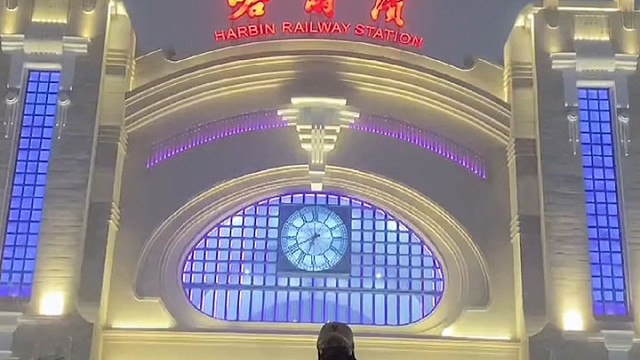 『小白兔』我想出去溜达～却只能在家趴着