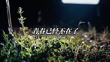青春已经不在了