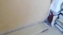 给室友精心准备的惊喜
