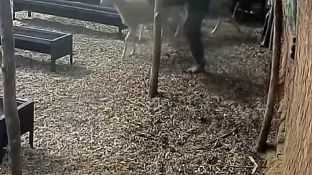 能力强，老板都要让着你