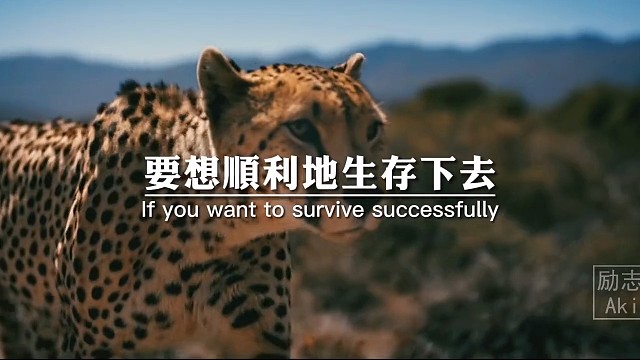 要想顺利地生存下去