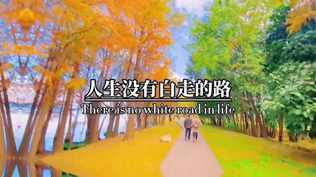 人生没有白走的路，每一步都算数。珍惜每一次成功和失败带来的领悟，变成更好的自己。