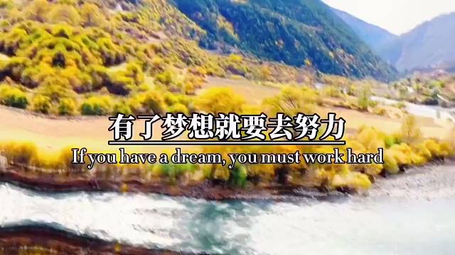 有了梦想就要去努力，努力只为创造奇迹。所有奇迹都是实力，实力来自拼尽全力，人生就要敢闯敢拼