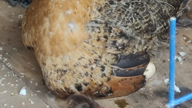 我发布了一个新视频，快来围观吧！