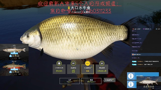 28，大口水牛鱼