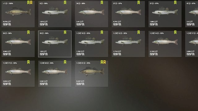 小小的梭鲈星75F006