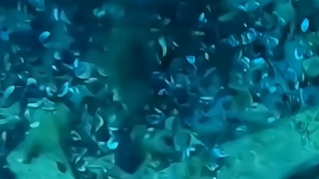 海底的摩托不错，还能骑吗？