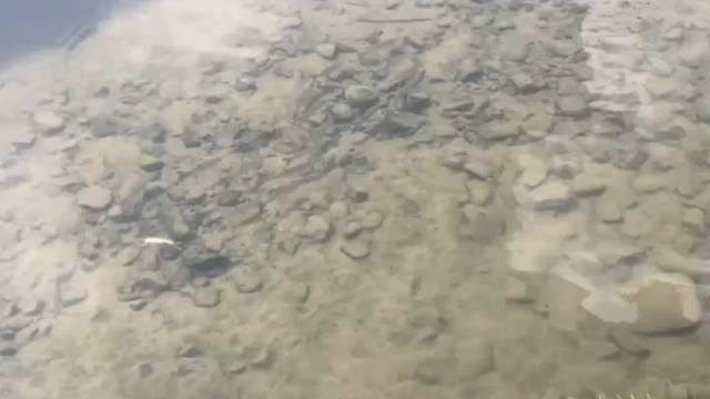 看着看着就想钓