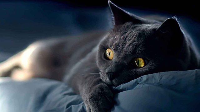 进阶组  肥羊带退伍 冰雪队37分钟5墙被破